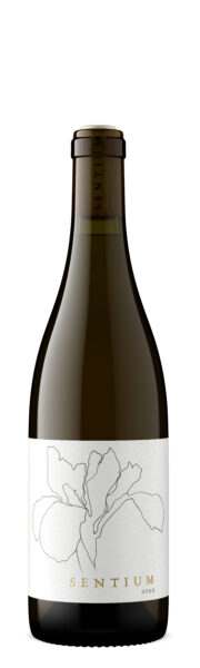 Sentium Sauvignon Blanc Medocino