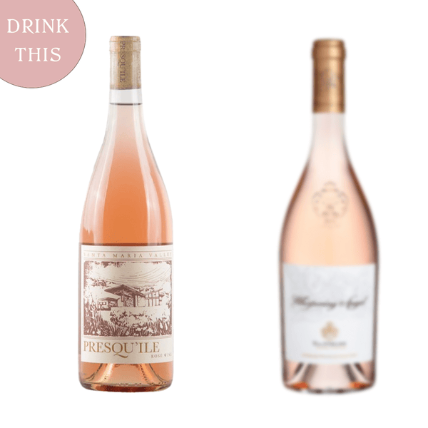 Presqu'ile Santa Maria Valley Rose 2022