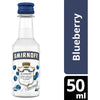 Smirnoff Vodka Blueberry 10 x 50ml | Mini Alcohol Bottles